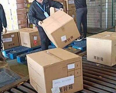 寵物托運